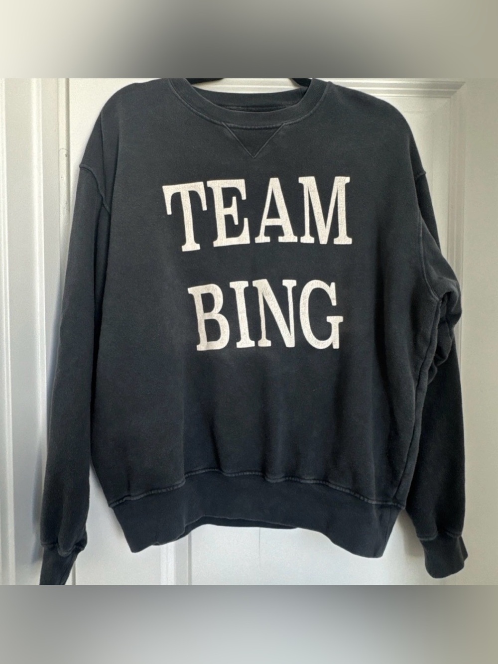 Anine Bing Team Bing Gray Cotton Lightweight Sweatshirt Sweater Size Small